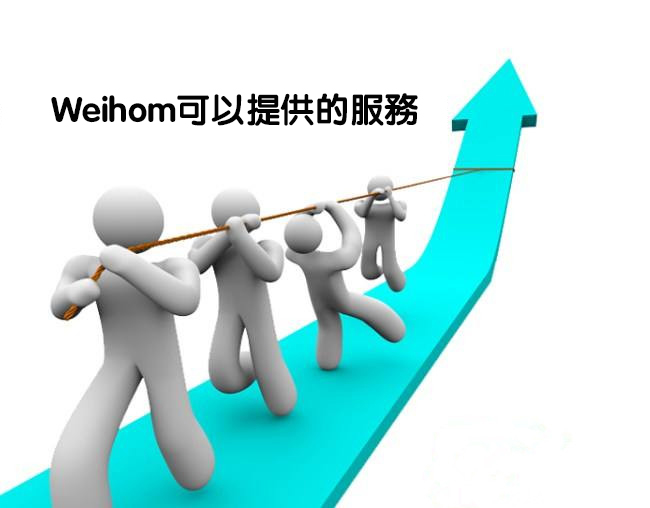 提供SEO优化,关键词排名提升,网站整体优化